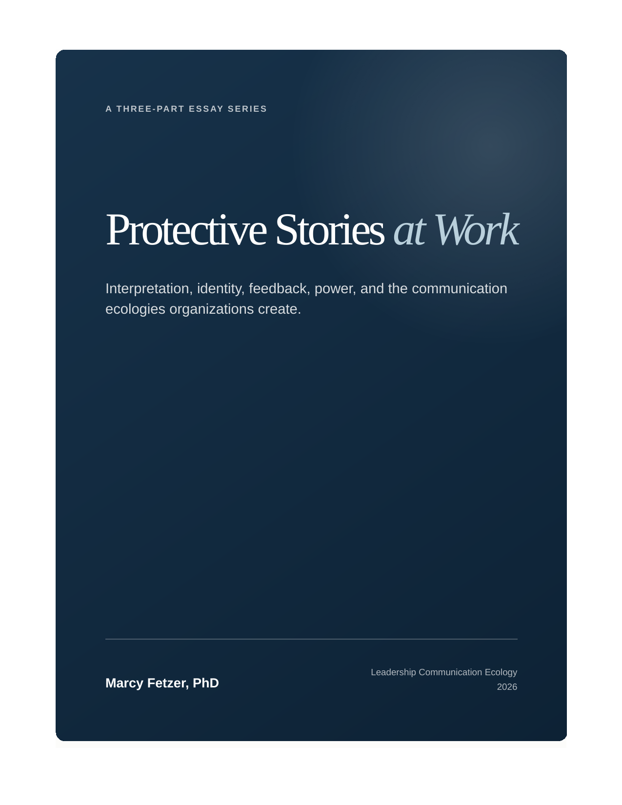 Cover of Protective Stories at Work